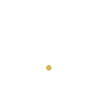 Havishaa Global